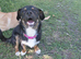 HOPE – From Death Row to a Heart Full of Hope