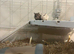 2 male gerbils