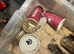 Red line Hognose female