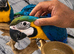 Friendly Baby HandReared Super Tame Cuddly Blue & Gold Macaw Parrot,18