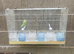 Used cages for sale