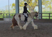 Pippi, 13.2 4yr old skewbald mare