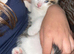 3 beautiful kittens