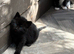 5 beautiful girls available