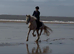 14.3/15H, 4Yo, Palomino, Ride & Drive, Irish Cob, Gelding