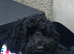 Black Cockapoo Pups ***only 1 remaining***
