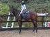 Smartie - Fun loving allrounder sort