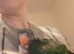 Baby hand reared Derbyan Parrot