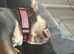 Chanel needs a new home