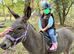 Grey Jenni Donkey