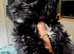 Stunning, sweet Cocapoo female
