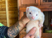 Half micro ferret kits