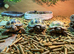 Horsfields Tortoises at Birmingham Reptiles