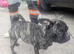 Frug