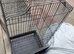 Bird cage forsale