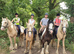 Horses available for part loan in Arborfield, Berkshire