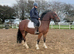 6 yr old allrounder