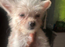 Two lovely little boys