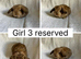6 beautiful baby mini lops ready to reserve