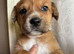 One very special little girl remaining £500