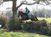 Honest bay gelding