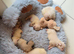Full fluffy pink French bulldogs pet price