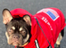Nyla needs a new home