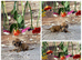 Tiny dachshunds available.