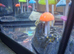 Dobby and Sock ADF and snail