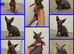 SPHYNX kittens ready to leave 6th June
