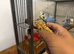 Tame Baby Budgies