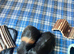 2 Male Guinea pigs 6mths complete C&C set up