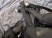 Greyhound Whippet Cross Rehome