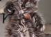 Tica registered and fully vaccinated