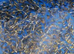 1000’s Koi Fry 1-3 inches