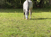 Unreg Welsh a project mare and filly foal
