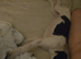 Puppy for sale