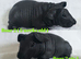 Beautiful skinny pig baby boars