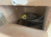 Breeding pair cockatiels and female