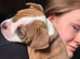 12 week old English bulldog neebr registered and history