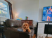 Toy cavapoo