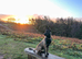 Belgian Malinois 11 months