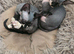 Ready Sphynx Kittens Looking for Their Forever