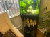 Fish tank tropical