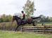 HORSES WANTED - SPORTS HORSES & THOROUGHBREDS
