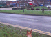 K9 security dog