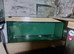 various fish tanks