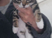 2 kittens looking for there forever home