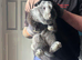 Rehome lop ear