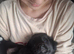 Shepadore puppies German Shepherd × Labradore puppies for sale